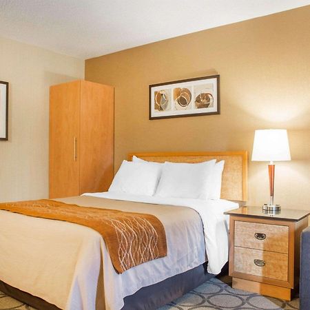 Comfort Inn ブラントフォード エクステリア 写真