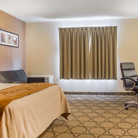 Comfort Inn ブラントフォード エクステリア 写真