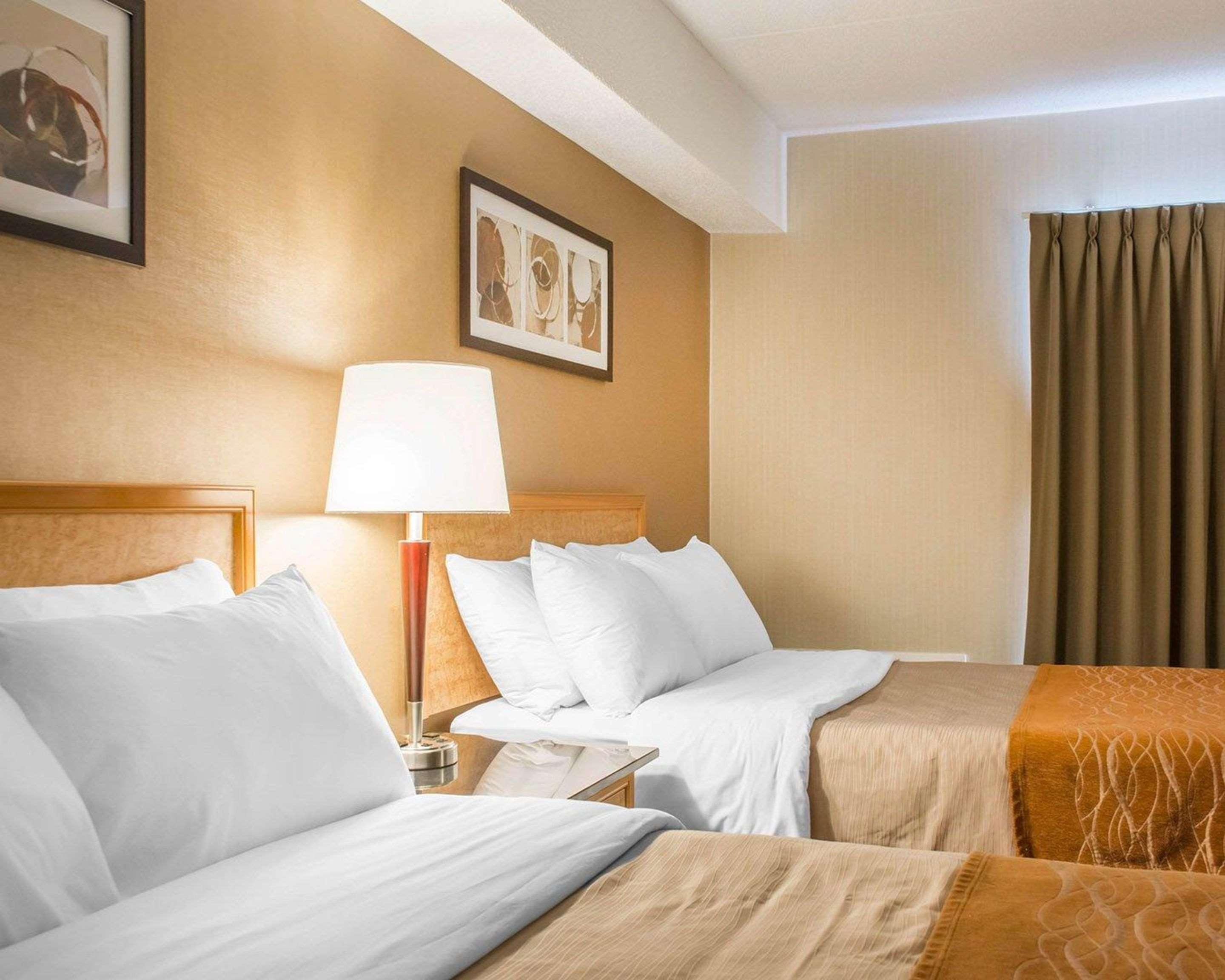 Comfort Inn ブラントフォード エクステリア 写真