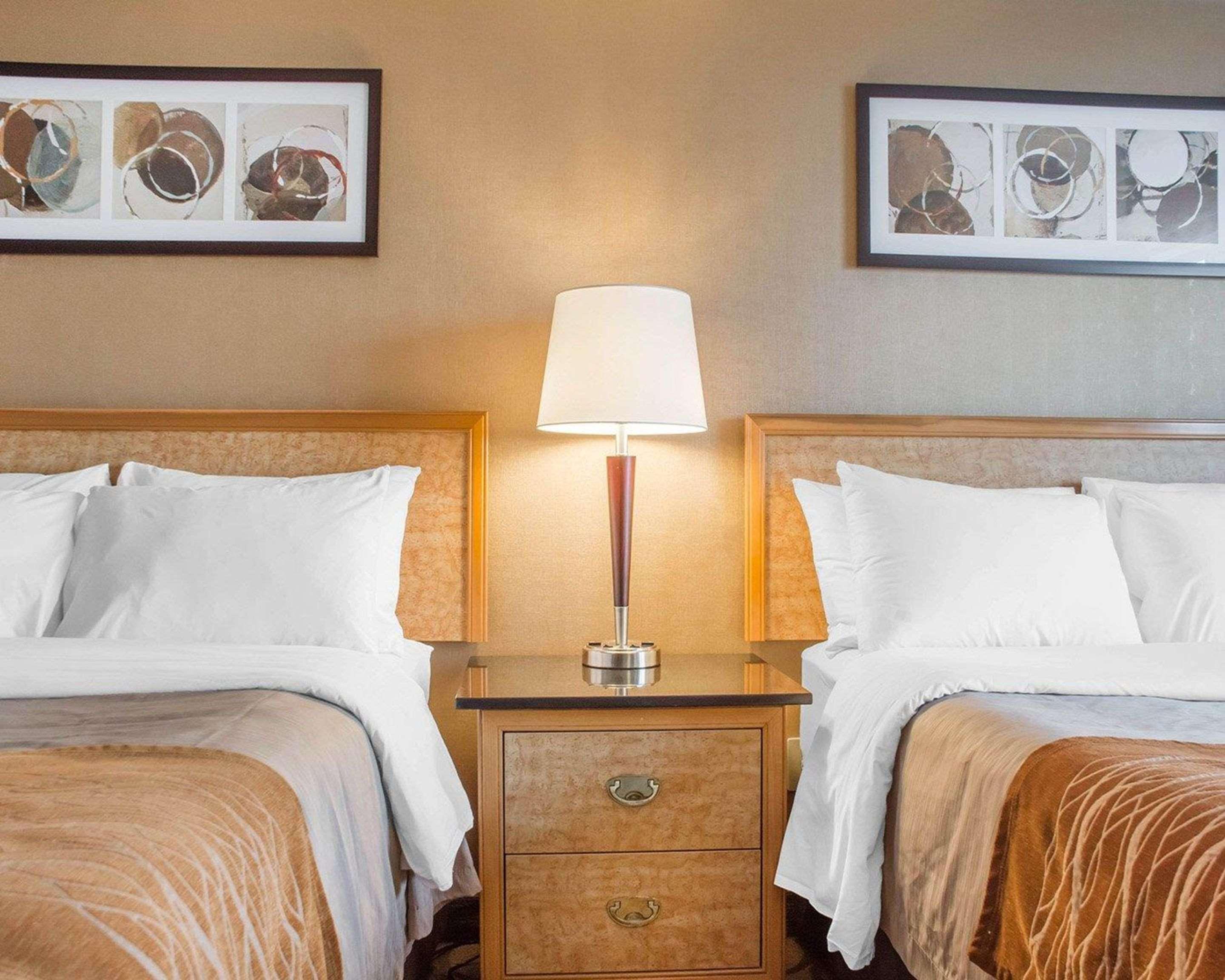 Comfort Inn ブラントフォード エクステリア 写真