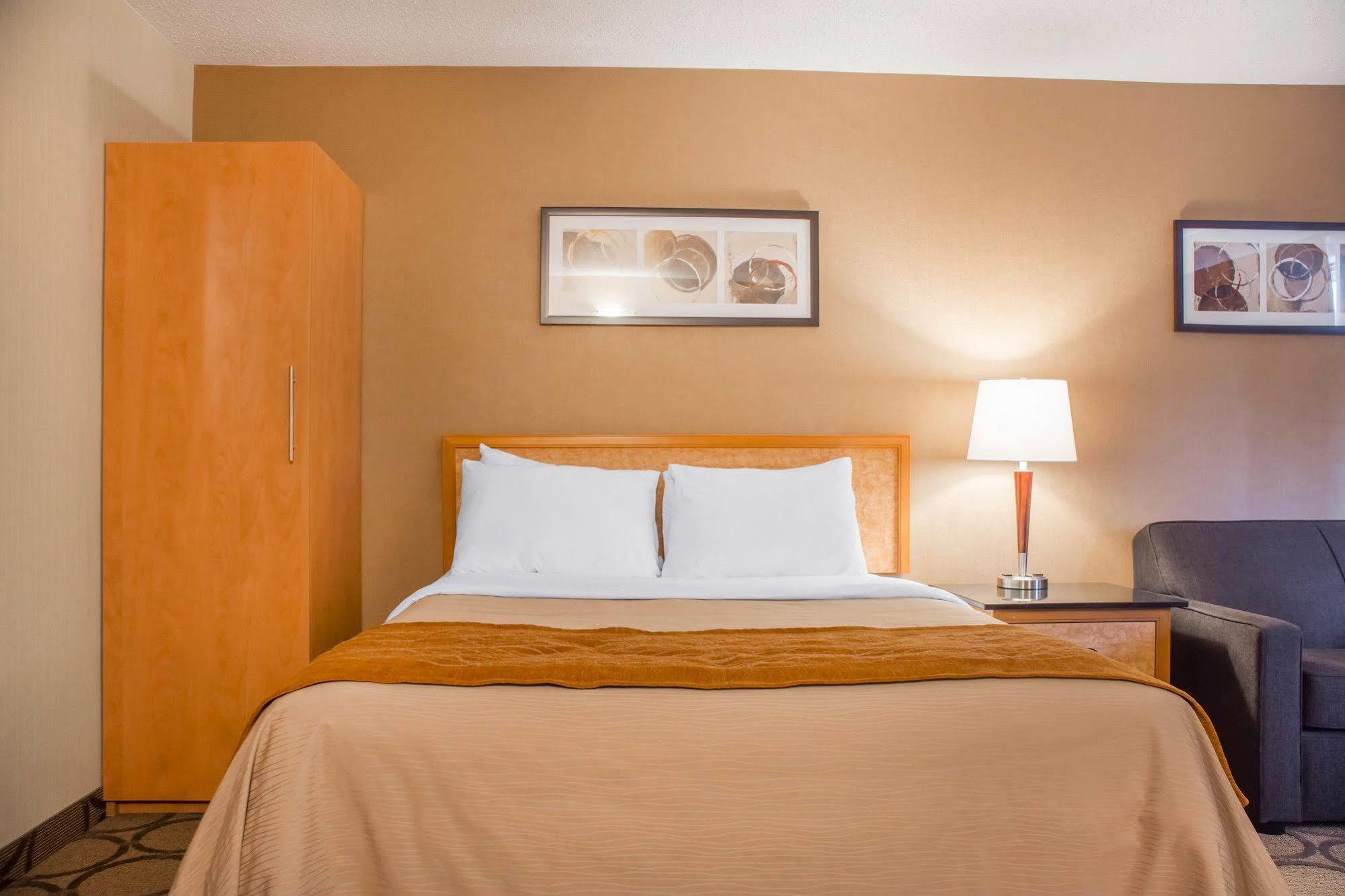 Comfort Inn ブラントフォード エクステリア 写真