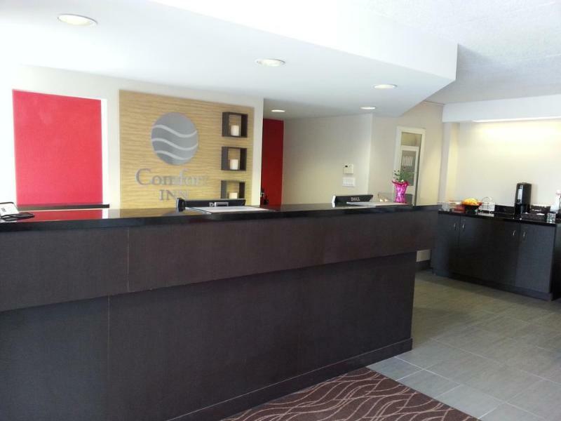 Comfort Inn ブラントフォード エクステリア 写真